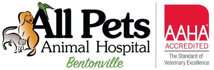 Veterinarian in Bentonville and Rogers, Arkansas - All Pets Animal Hospital